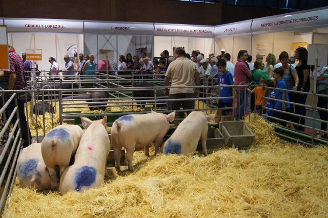 Autoridades municipales asistieron a SEPOR, Foto 2