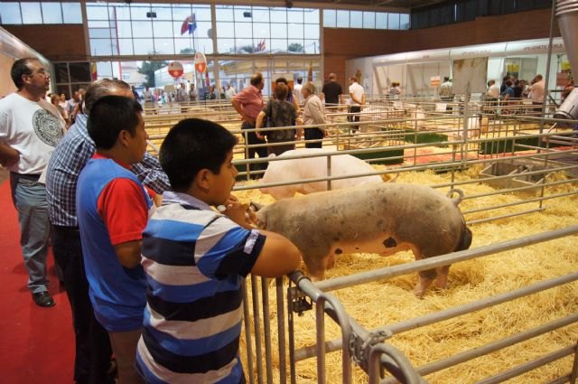 Autoridades municipales asistieron a SEPOR, Foto 1