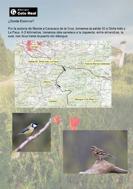 El Albergue Coto Real celebrará el Día Mundial de las Aves con actividades para toda la familia - 2, Foto 2