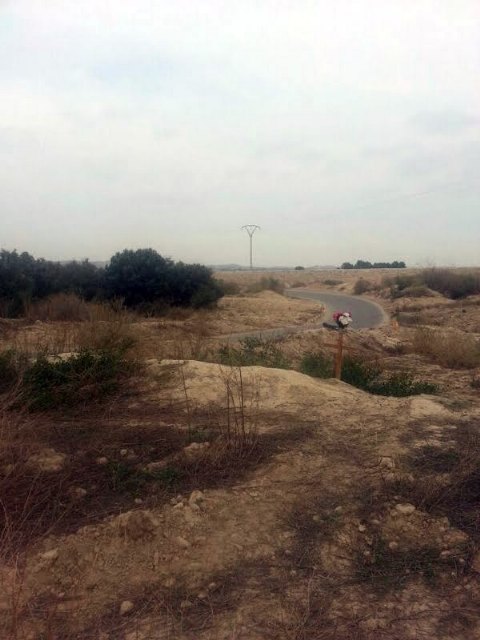 El Grupo Socialista exigirá en Pleno la limpieza inmediata de las ramblas y cauces del municipio ante el riesgo de inundaciones en caso de lluvias - 2, Foto 2