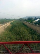 El Grupo Socialista exigir en Pleno la limpieza inmediata de las ramblas y cauces del municipio ante el riesgo de inundaciones en caso de lluvias