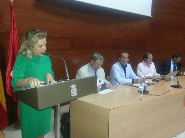 Martínez-Cachá e Iniesta hablan de buenas prácticas de movilidad y transporte sostenible en ciudades - 2, Foto 2