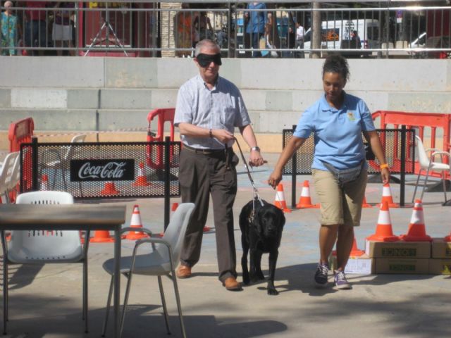 Exhibición de perros guía en la Plaza Juan XXIII - 1, Foto 1