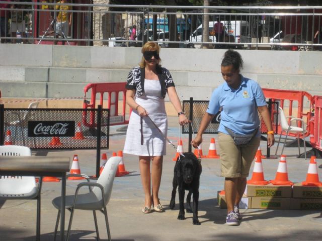 Exhibición de perros guía en la Plaza Juan XXIII - 2, Foto 2