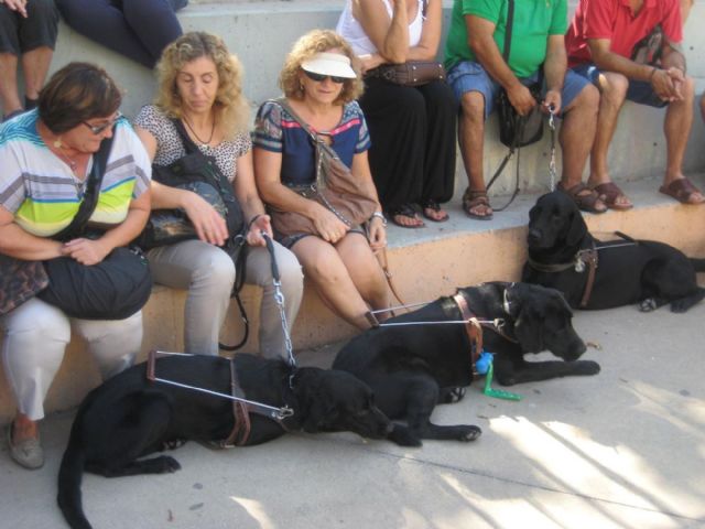 Exhibición de perros guía en la Plaza Juan XXIII - 3, Foto 3