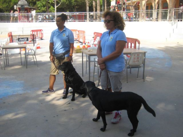 Exhibición de perros guía en la Plaza Juan XXIII - 4, Foto 4
