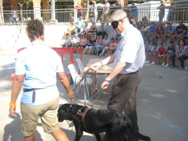 Exhibición de perros guía en la Plaza Juan XXIII - 5, Foto 5