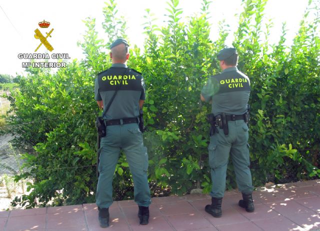 La Guardia Civil detiene a cuatro personas por sustraer cerca de tres toneladas de limones y material agrícola - 1, Foto 1