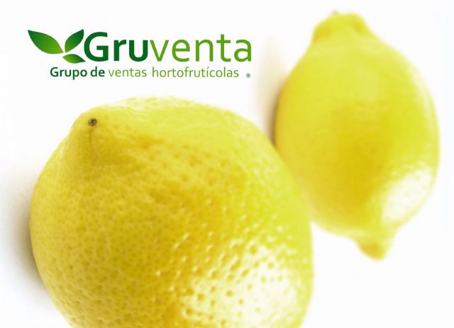 GRUVENTA califica como esencial y formidable el Plan de Internacionalización Agroalimentario presentado por el Gobierno - 1, Foto 1