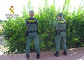 La Guardia Civil detiene a cuatro personas por sustraer cerca de tres toneladas de limones y material agrícola