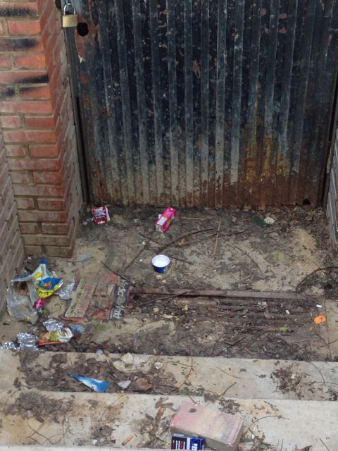 El Grupo Socialista denuncia el olvido y abandono que sufre el barrio de El Secano - 2, Foto 2