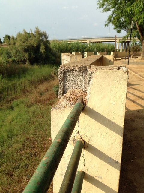 El Grupo Socialista denuncia el olvido y abandono que sufre el barrio de El Secano - 3, Foto 3