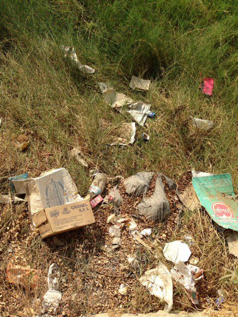 El Grupo Socialista denuncia el olvido y abandono que sufre el barrio de El Secano - 4, Foto 4