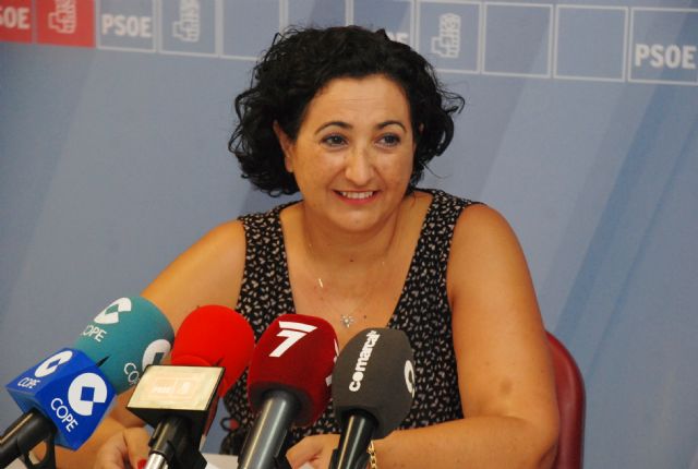 El PSOE subraya que el actual modelo de feria no funciona - 1, Foto 1