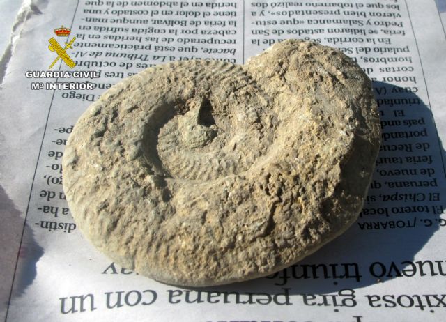 La Guardia Civil sorprende a dos furtivos cuando extraían fósiles de caracolas en Inazares-Moratalla - 2, Foto 2