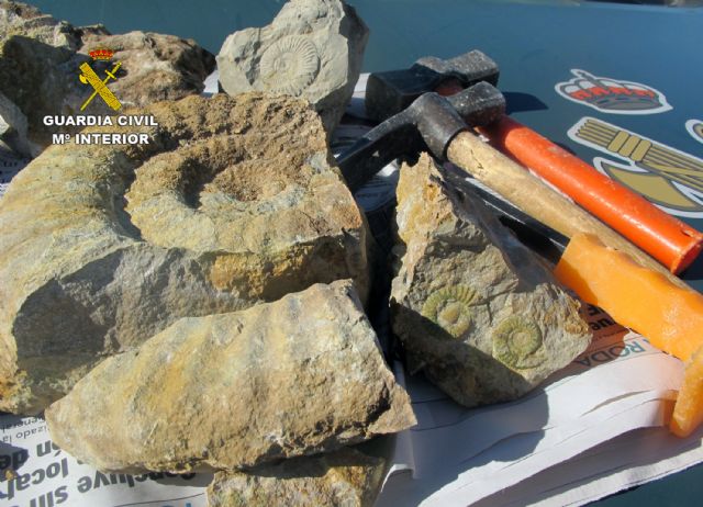 La Guardia Civil sorprende a dos furtivos cuando extraían fósiles de caracolas en Inazares-Moratalla - 3, Foto 3
