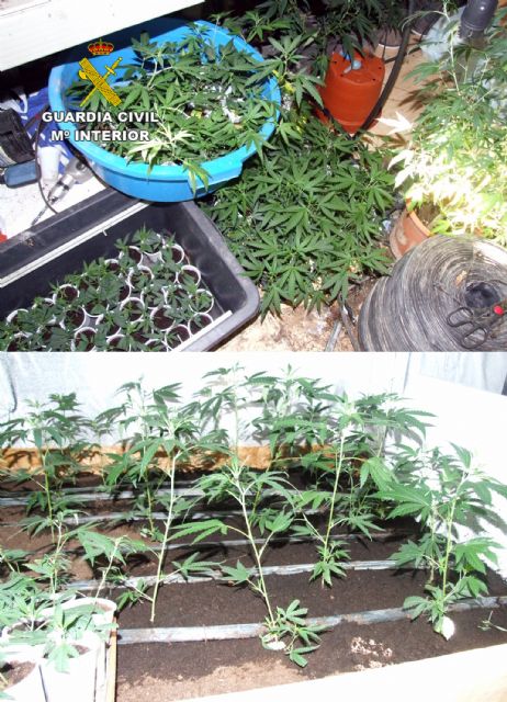 La Guardia Civil desmantela un laboratorio clandestino de producción marihuana en Águilas - 1, Foto 1