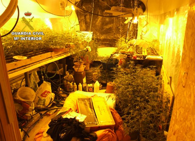La Guardia Civil desmantela un laboratorio clandestino de producción marihuana en Águilas - 2, Foto 2