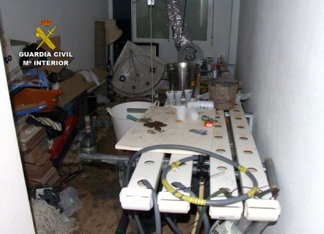 La Guardia Civil desmantela un laboratorio clandestino de producción marihuana en Águilas - 3, Foto 3