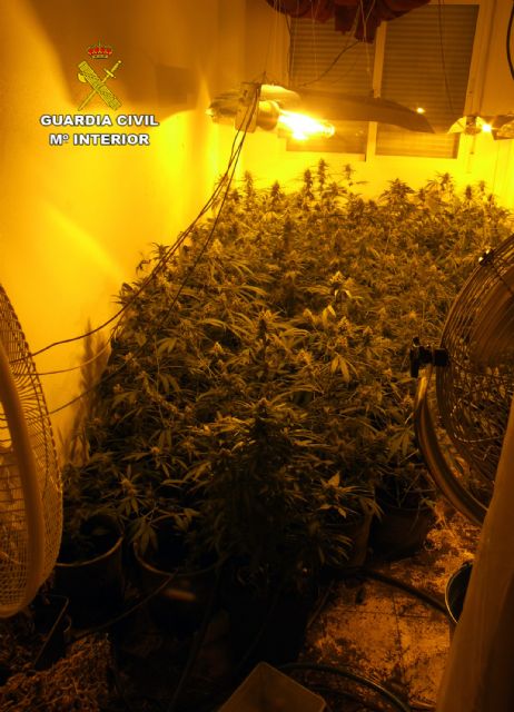 La Guardia Civil desmantela un laboratorio clandestino de producción marihuana en Águilas - 5, Foto 5