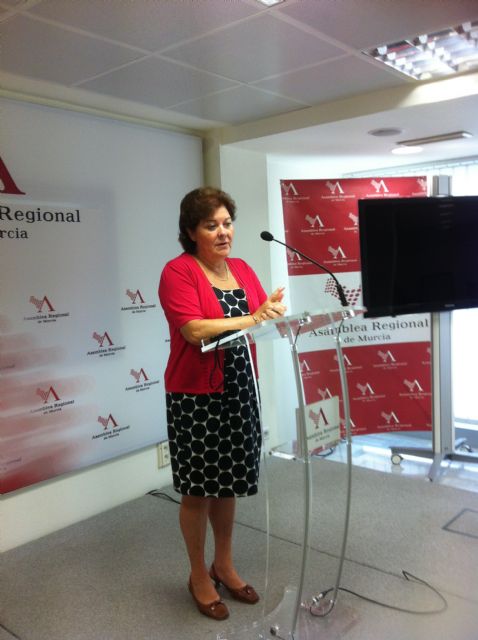 El PSOE lamenta el rechazo del PP a que se reduzcan las listas de espera de la Unidad del dolor - 1, Foto 1