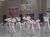 Casi un centenar de luchadores de todas las edades participan en el Open de Taekwondo de los Juegos