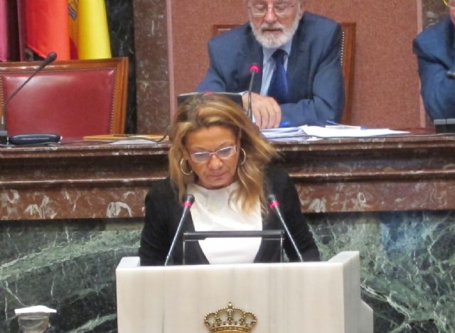 El Proyecto de Ley de Turismo supera el debate de totalidad en la Cámara regional - 1, Foto 1