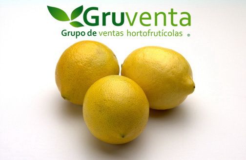GRUVENTA considera que la campaña de cítricos murcianos transcurrirá con una tónica favorable y dinamismo comercial - 1, Foto 1