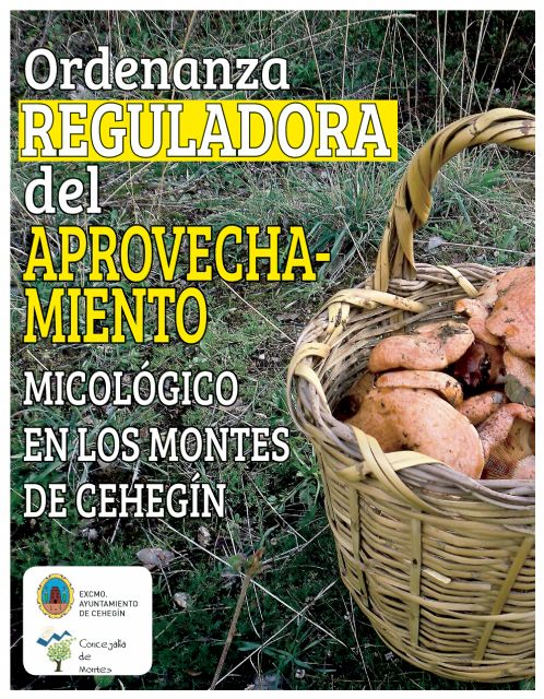 El Ayuntamiento aprueba una Ordenanza reguladora del aprovechamiento micológico en los montes - 1, Foto 1