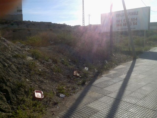 UPyD Cieza afirma que la desidia política del Gobierno municipal es la causa del deplorable estado de la entrada norte del municipio - 2, Foto 2