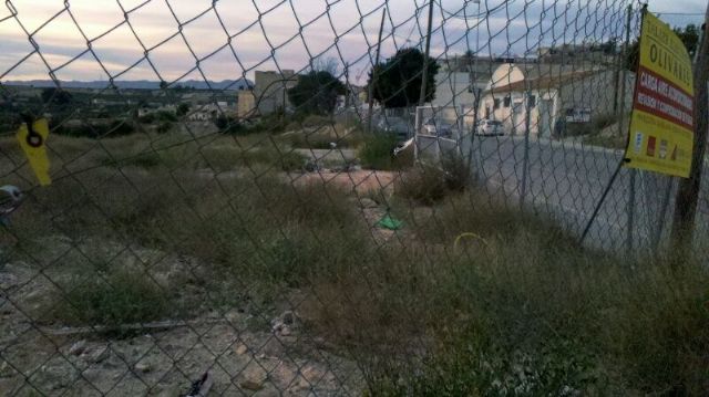 UPyD Cieza afirma que la desidia política del Gobierno municipal es la causa del deplorable estado de la entrada norte del municipio - 3, Foto 3