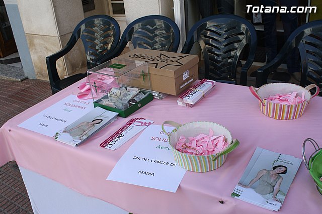 Autoridades municipales apoyan la campaña de sensibilizacin con motivo del Da contra el cncer de mama - 1