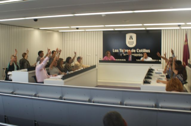 Los Presupuestos 2014 de Las Torres de Cotillas, reales, ajustados, austeros y volcados en Política Social - 5, Foto 5