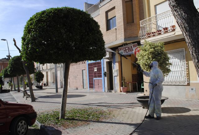 El arbolado y los jardines de Las Torres de Cotillas se ponen guapos con la llegada del otoño - 2, Foto 2