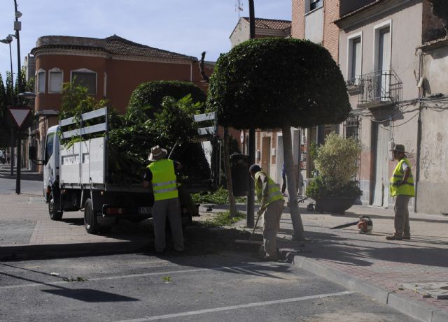 El arbolado y los jardines de Las Torres de Cotillas se ponen guapos con la llegada del otoño - 3, Foto 3