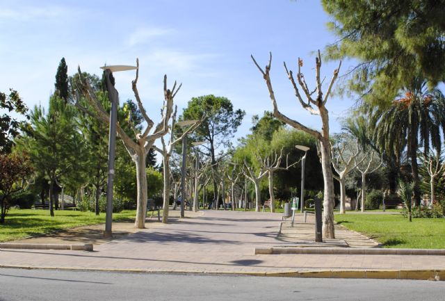El arbolado y los jardines de Las Torres de Cotillas se ponen guapos con la llegada del otoño - 4, Foto 4