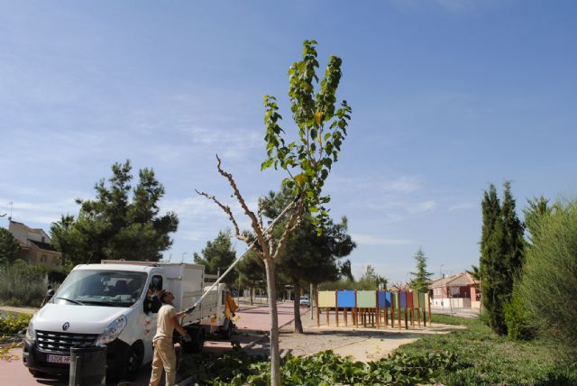 El arbolado y los jardines de Las Torres de Cotillas se ponen guapos con la llegada del otoño - 5, Foto 5