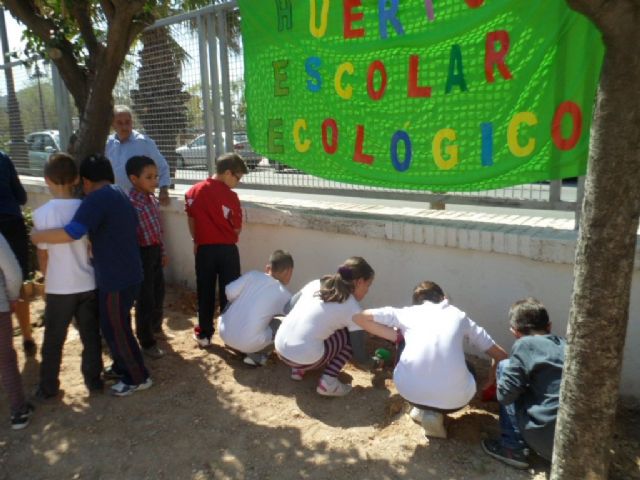 El Colegio Público Cervantes de Molina de Segura difunde a través de un blog las actividades desarrolladas en su huerto escolar ecológico - 1, Foto 1