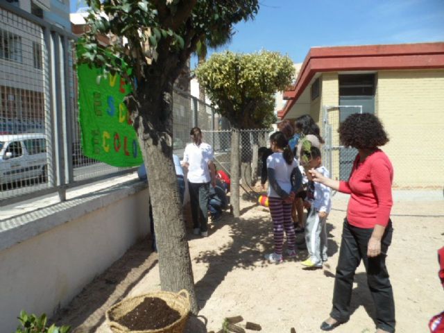 El Colegio Público Cervantes de Molina de Segura difunde a través de un blog las actividades desarrolladas en su huerto escolar ecológico - 2, Foto 2