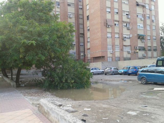 El PSOE exige la limpieza inmediata de un solar lleno de suciedad, escombros y roedores - 1, Foto 1