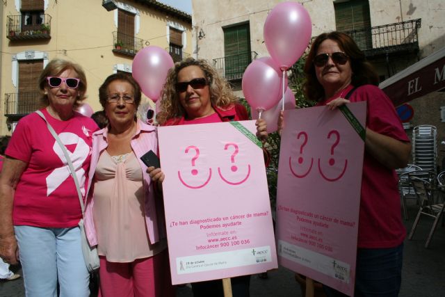 La marcha rosa Una milla por ellas reivindica seguir luchando contra el cáncer de mama - 2, Foto 2