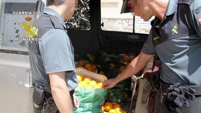 ASAJA Murcia se reúne con el Grupo Especial de Seguridad en el Campo de la Guardia Civil, Grupo Roca - 1, Foto 1