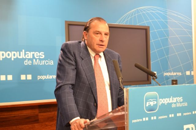 Martínez-Pujalte celebra la presencia del PP en la manifestación del domingo - 1, Foto 1