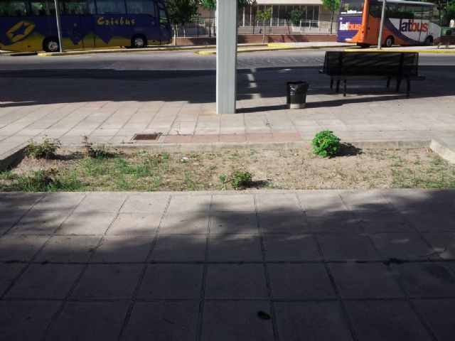 UPyD propone una ordenanza para gestionar y proteger el arbolado urbano - 1, Foto 1