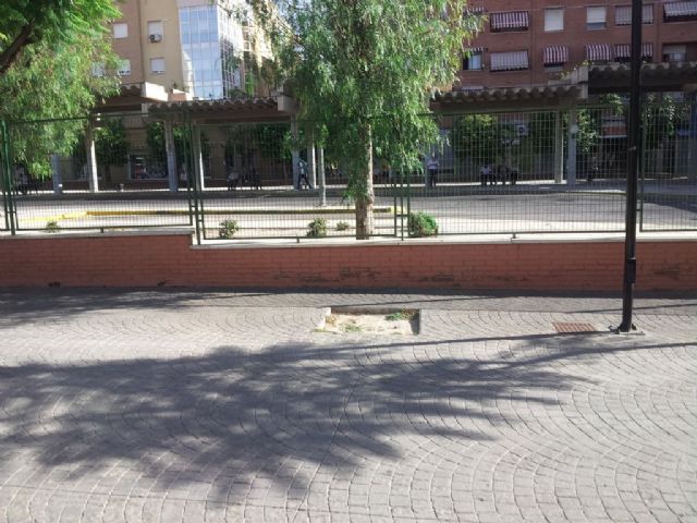 UPyD propone una ordenanza para gestionar y proteger el arbolado urbano - 3, Foto 3