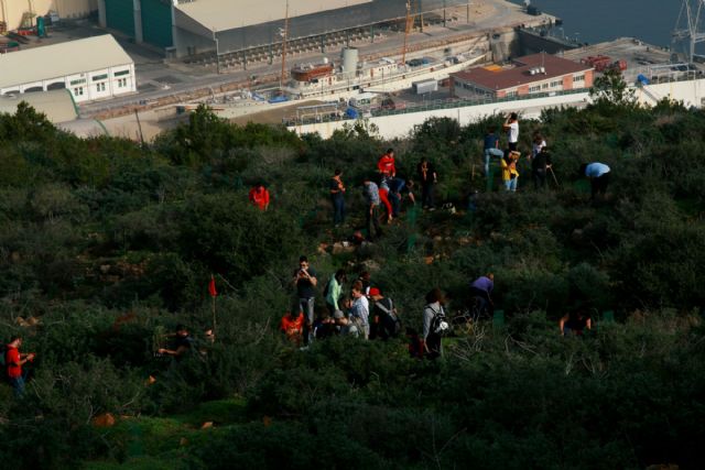 La Asociación CreeCT convoca a la ciudadanía para reforestar Fajardo y Galeras - 2, Foto 2