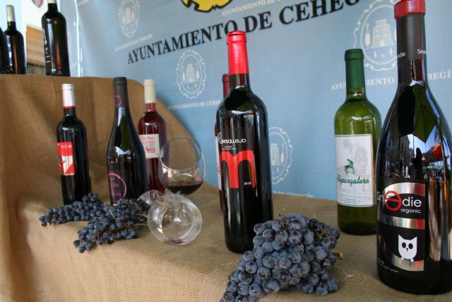 'El Mesoncico' ofrece los mejores vinos de la tierra en la primera edición de la temporada - 5, Foto 5