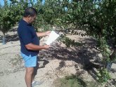 Agricultura asesora a pequeños agricultores de Mazarrn para conseguir un mayor ahorro de agua y fertilizantes en nuevos cultivos