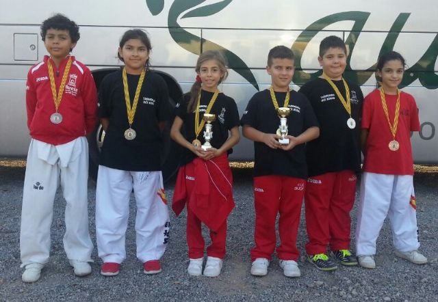 El Club Budoka de Torre-Pacheco consigue 7 medallas en el Open Internacional de Benicassim de Taekwondo - 2, Foto 2