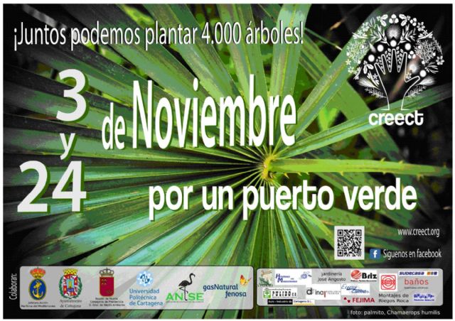 Domingos de reforestación en Fajardo y Galeras - 1, Foto 1